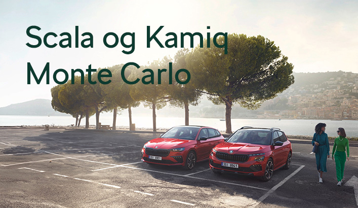  Scala og Kamiq Monte Carlo